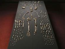 Homo Naledi